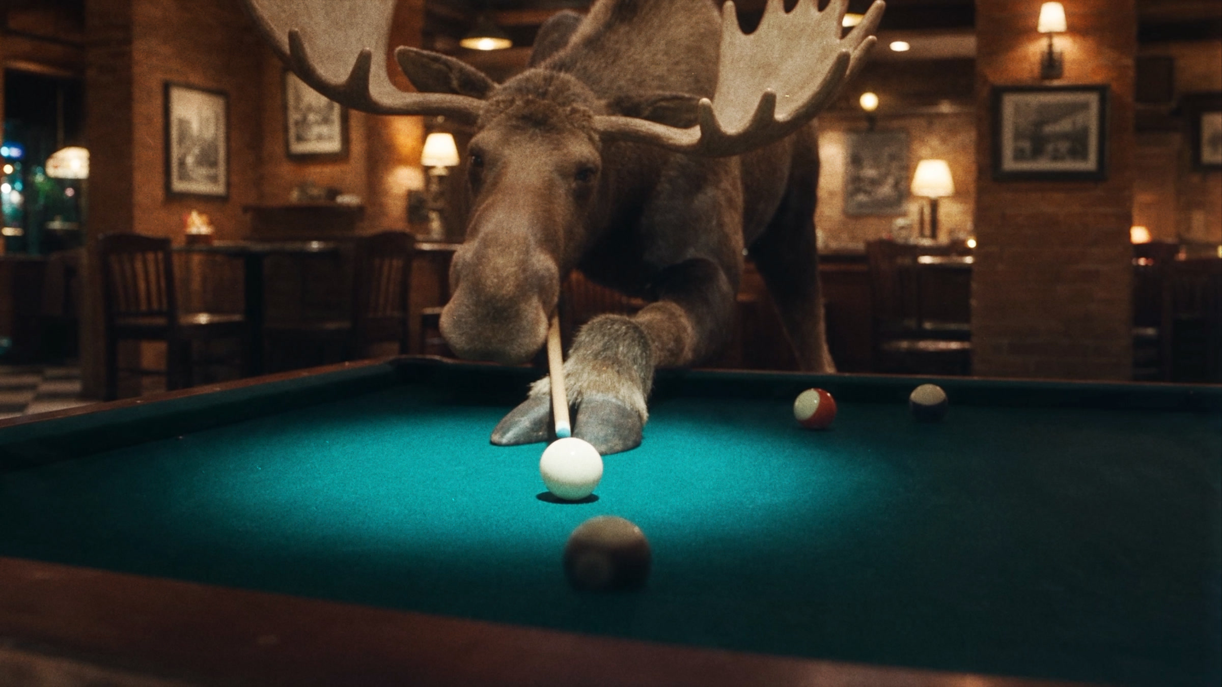 A moose lining up a shot on a pool table in a wood-panelled bar